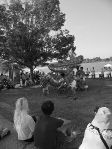 Dragon Boat Festival