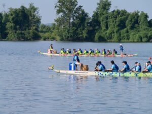 Dragon Boat Festival