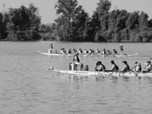 Dragon Boat Festival