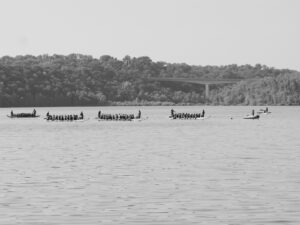 Dragon Boat Festival