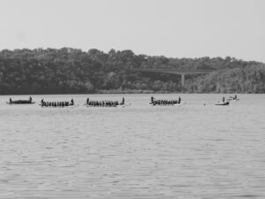 Dragon Boat Festival