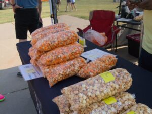 Dragon Boat Festival